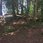 Haus Vogelnest 公寓 *