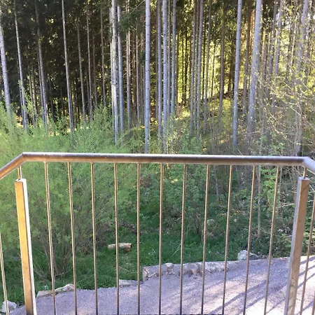 Appartement Haus Vogelnest *
