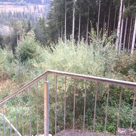 Appartement Haus Vogelnest Titisee-Neustadt