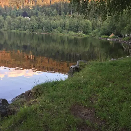 Haus Vogelnest Titisee-Neustadt