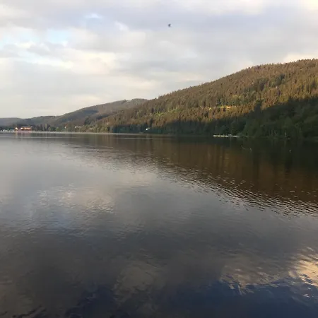 Haus Vogelnest Titisee-Neustadt