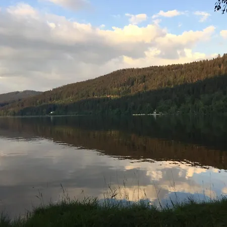 Haus Vogelnest Lejlighed Titisee-Neustadt
