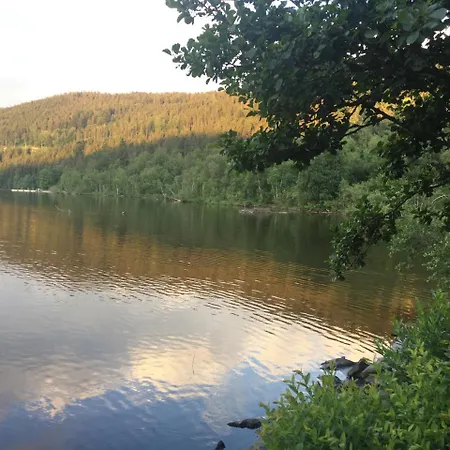 Lejlighed Haus Vogelnest Titisee-Neustadt