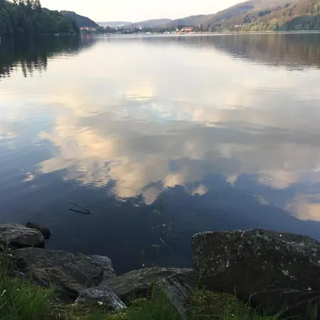 Haus Vogelnest Appartement Titisee-Neustadt