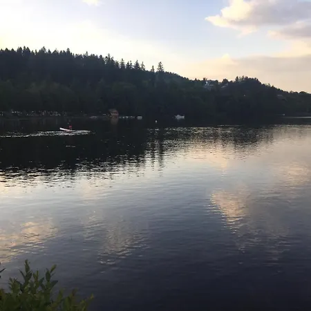 Lejlighed Haus Vogelnest Titisee-Neustadt