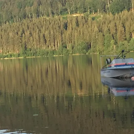 Haus Vogelnest Lejlighed Titisee-Neustadt