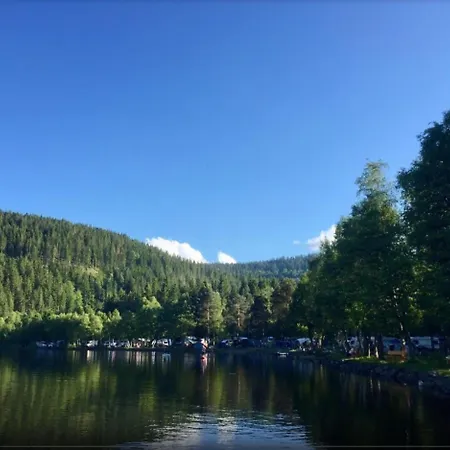 Haus Vogelnest * Titisee-Neustadt