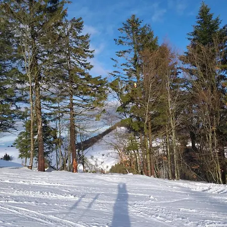 Apartmán Haus Vogelnest Titisee-Neustadt