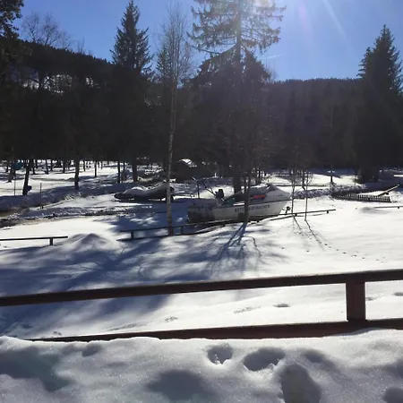 Lejlighed Haus Vogelnest Titisee-Neustadt