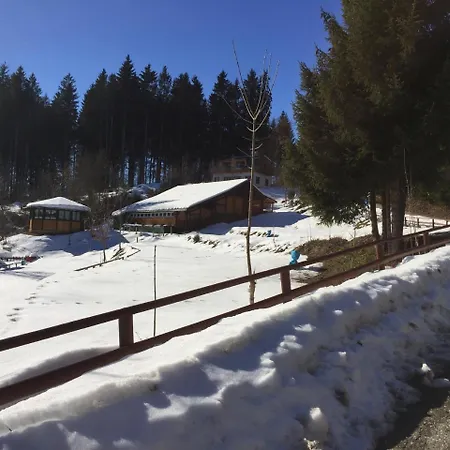 Haus Vogelnest Appartement