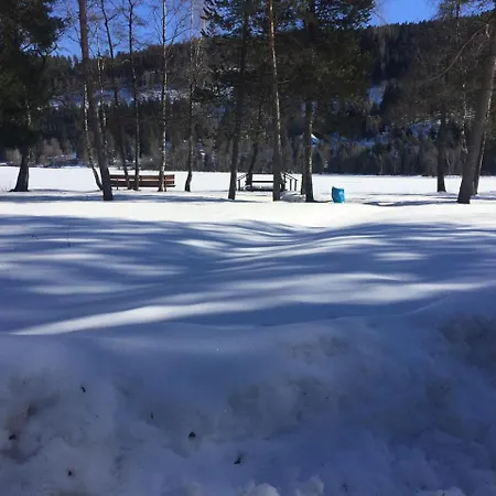 Appartement Haus Vogelnest *