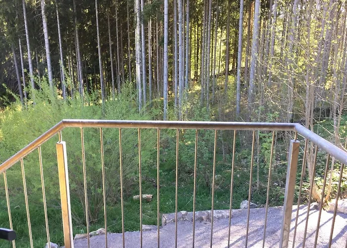 Apartment Haus Vogelnest *