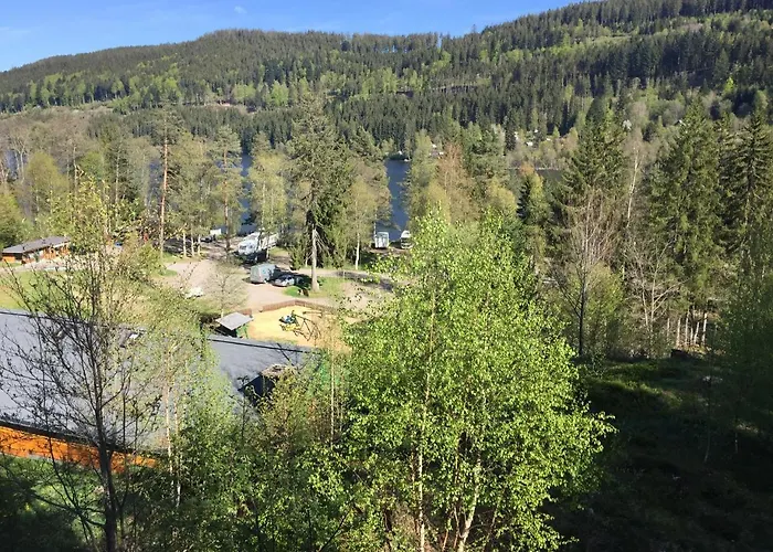 Haus Vogelnest * Titisee-Neustadt