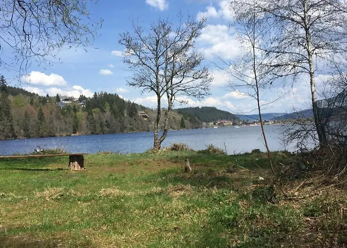 Haus Vogelnest 公寓 *