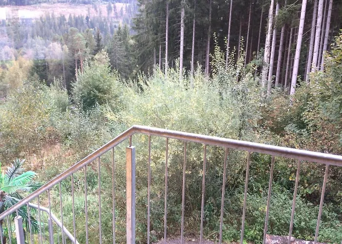 Apartment Haus Vogelnest Titisee-Neustadt