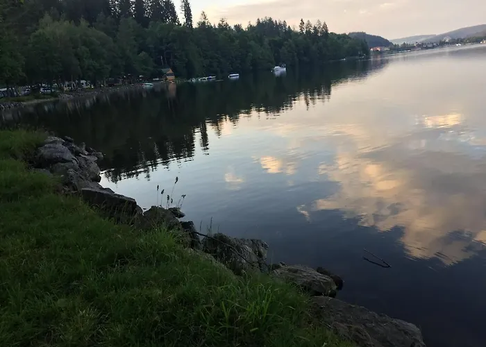 Haus Vogelnest 公寓 *