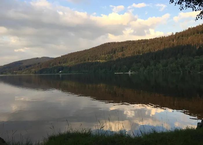 Haus Vogelnest Apartment Titisee-Neustadt