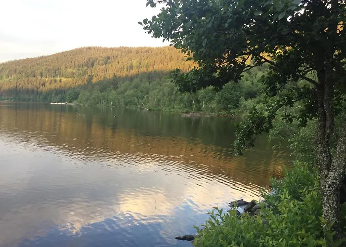 Apartment Haus Vogelnest Titisee-Neustadt