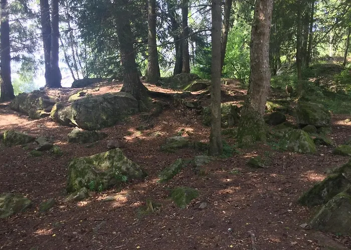 Haus Vogelnest Apartment *