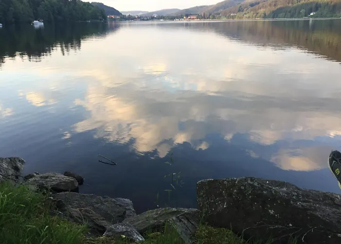 Haus Vogelnest 公寓 蒂蒂湖-新城