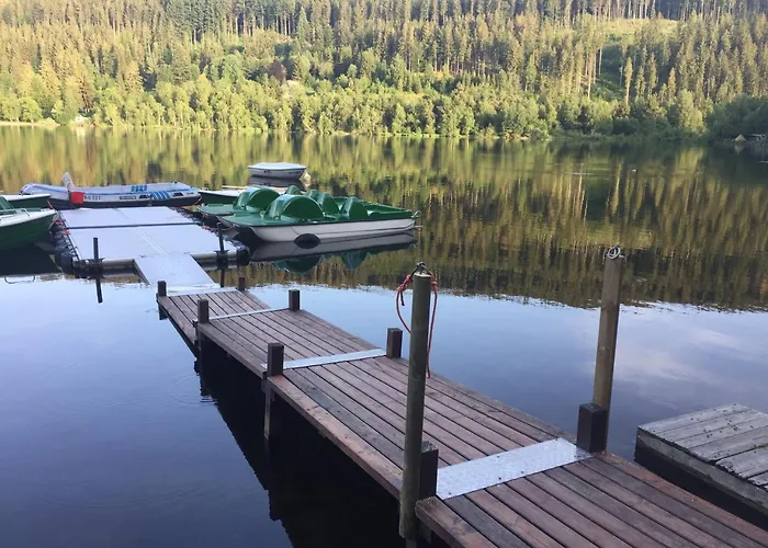 Haus Vogelnest 公寓 *