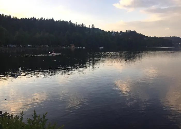 公寓 Haus Vogelnest 蒂蒂湖-新城