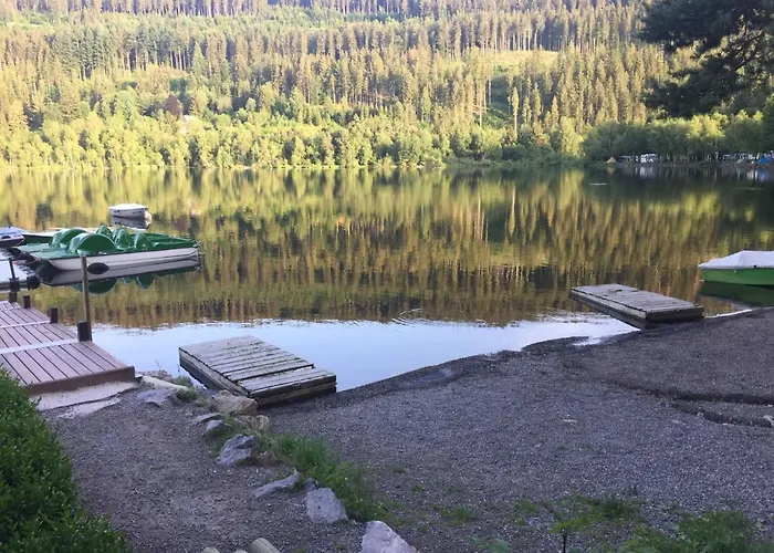 Haus Vogelnest 公寓