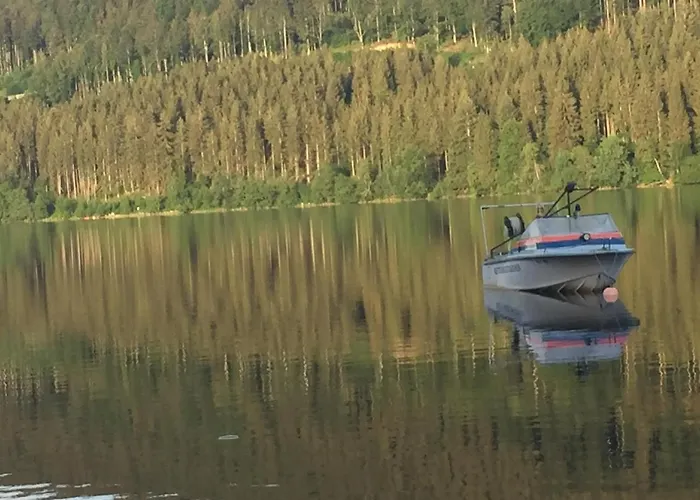 Haus Vogelnest 公寓 蒂蒂湖-新城