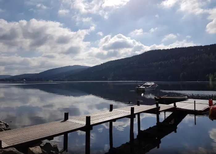 公寓 Haus Vogelnest *