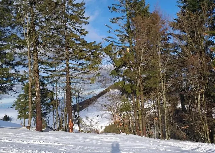 公寓 Haus Vogelnest 蒂蒂湖-新城