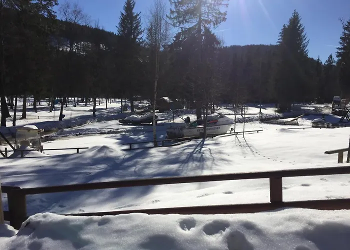 公寓 Haus Vogelnest 蒂蒂湖-新城