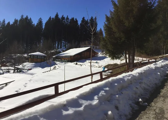 Haus Vogelnest 公寓