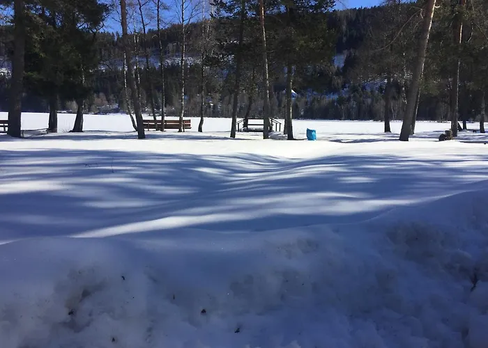 公寓 Haus Vogelnest *